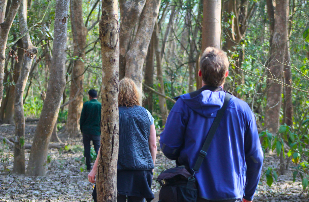 Nature Walks